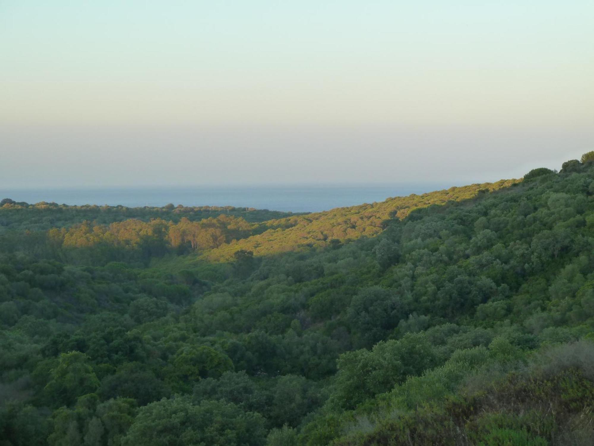 Alcaidesa Golf And Nature Apartment San Roque  Luaran gambar